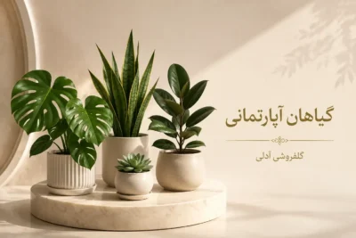 1c816f1a 1b8a 4b2e b1bb 0e0355b8ad21 copy