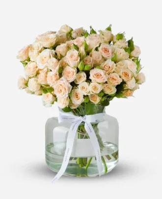 جار گل رز مینیاتوری گلبه ای