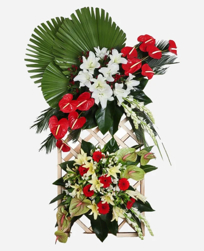 تاج گل سرین